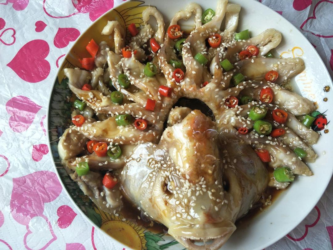 孔雀开屏鱼