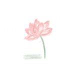 明天依旧是晴天
