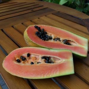 小农木瓜炖鲜奶桃胶的做法 步骤7