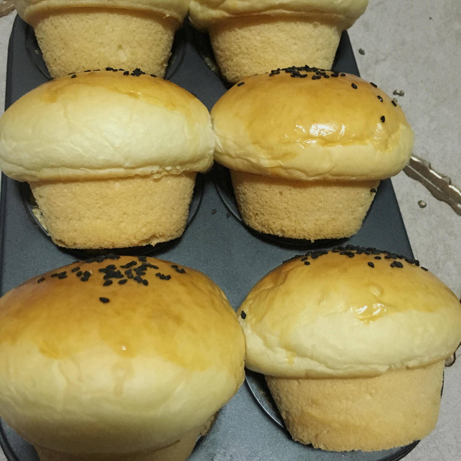 原味蘑菇包（一次性发酵）