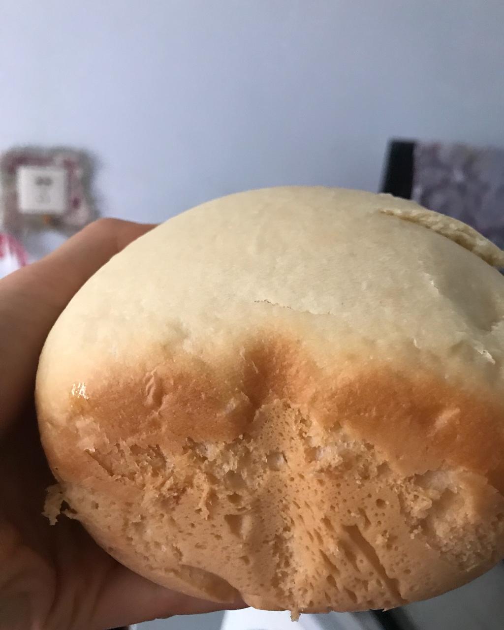 提子土司（柏翠面包机PE6280）自用方子