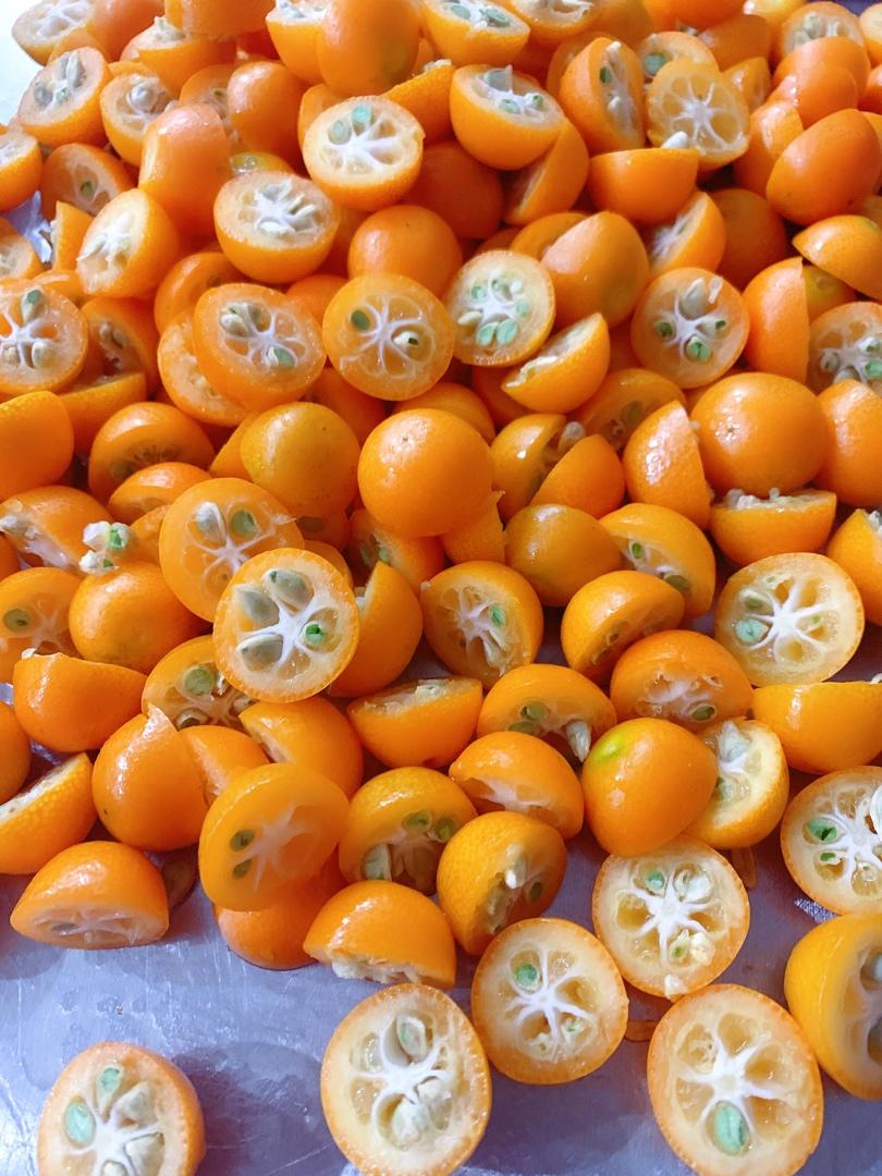 超级简单的金桔蜜饯，手残党也可以