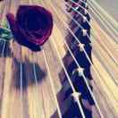 用心学做饭的娟儿