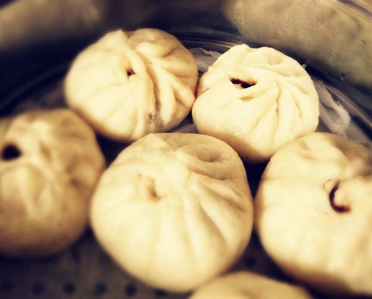 韭菜肉包（面包机和面）