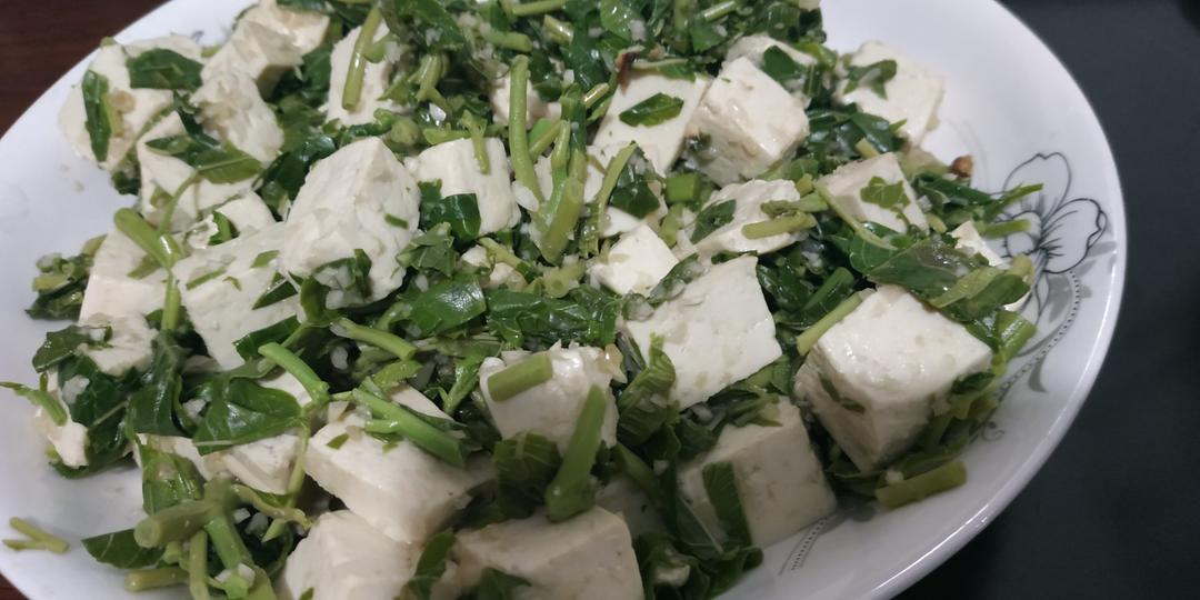 香椿拌豆腐  季节菜凉拌香椿 开胃凉拌菜