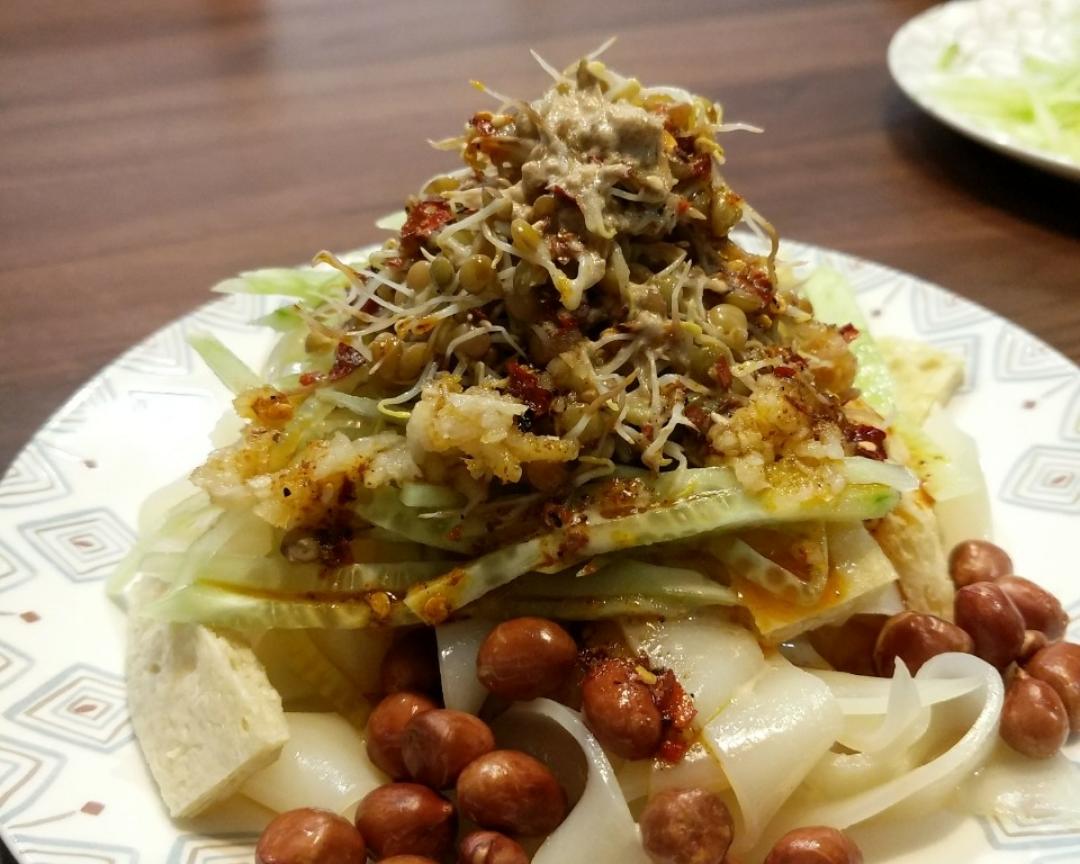 最简易发豆芽扁豆芽