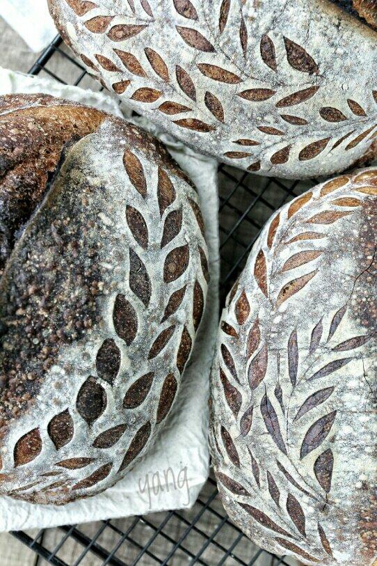 【Ken Forkish】纯天然酵种三麦基础包