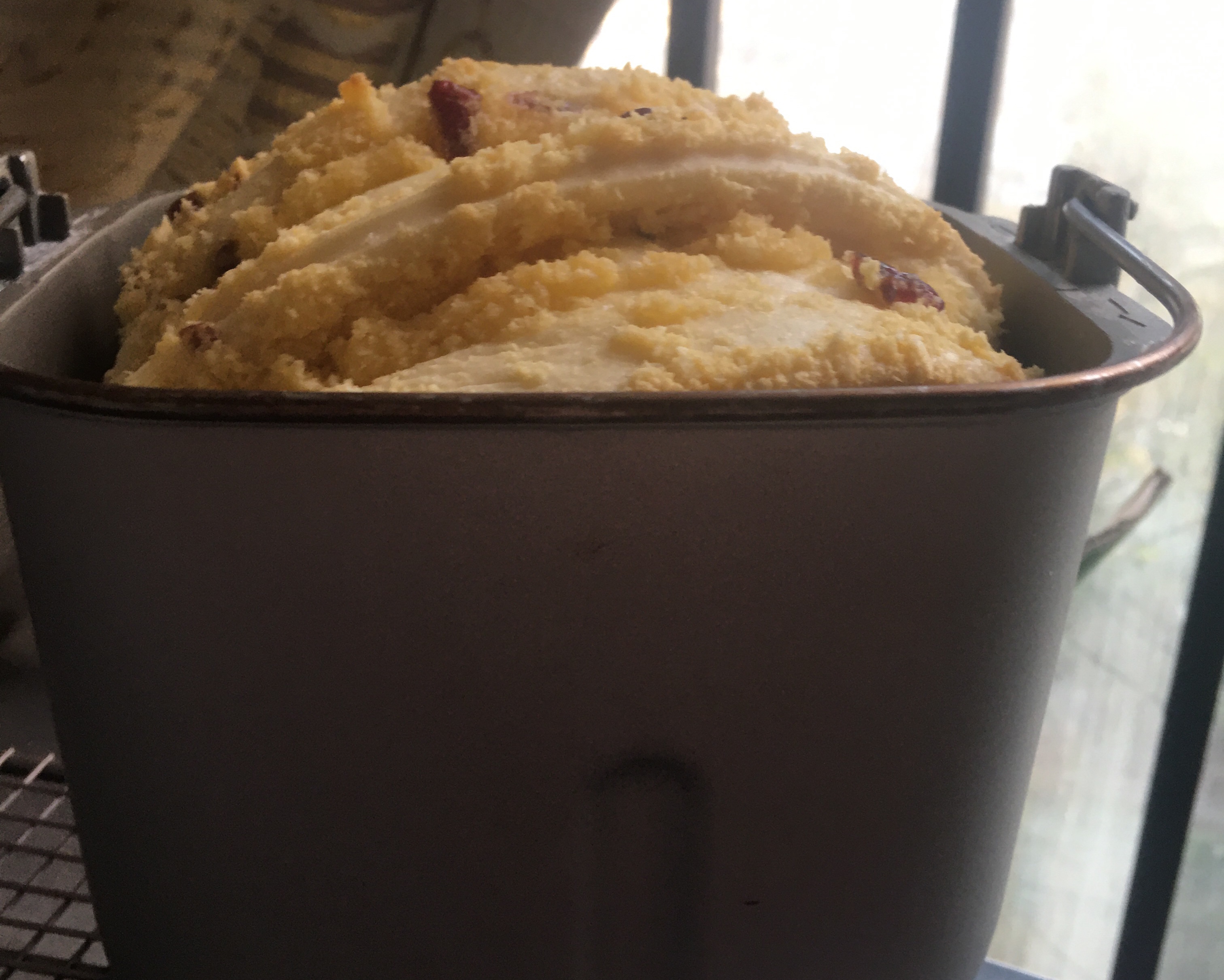 松下面包机版椰蓉蔓越莓吐司的做法