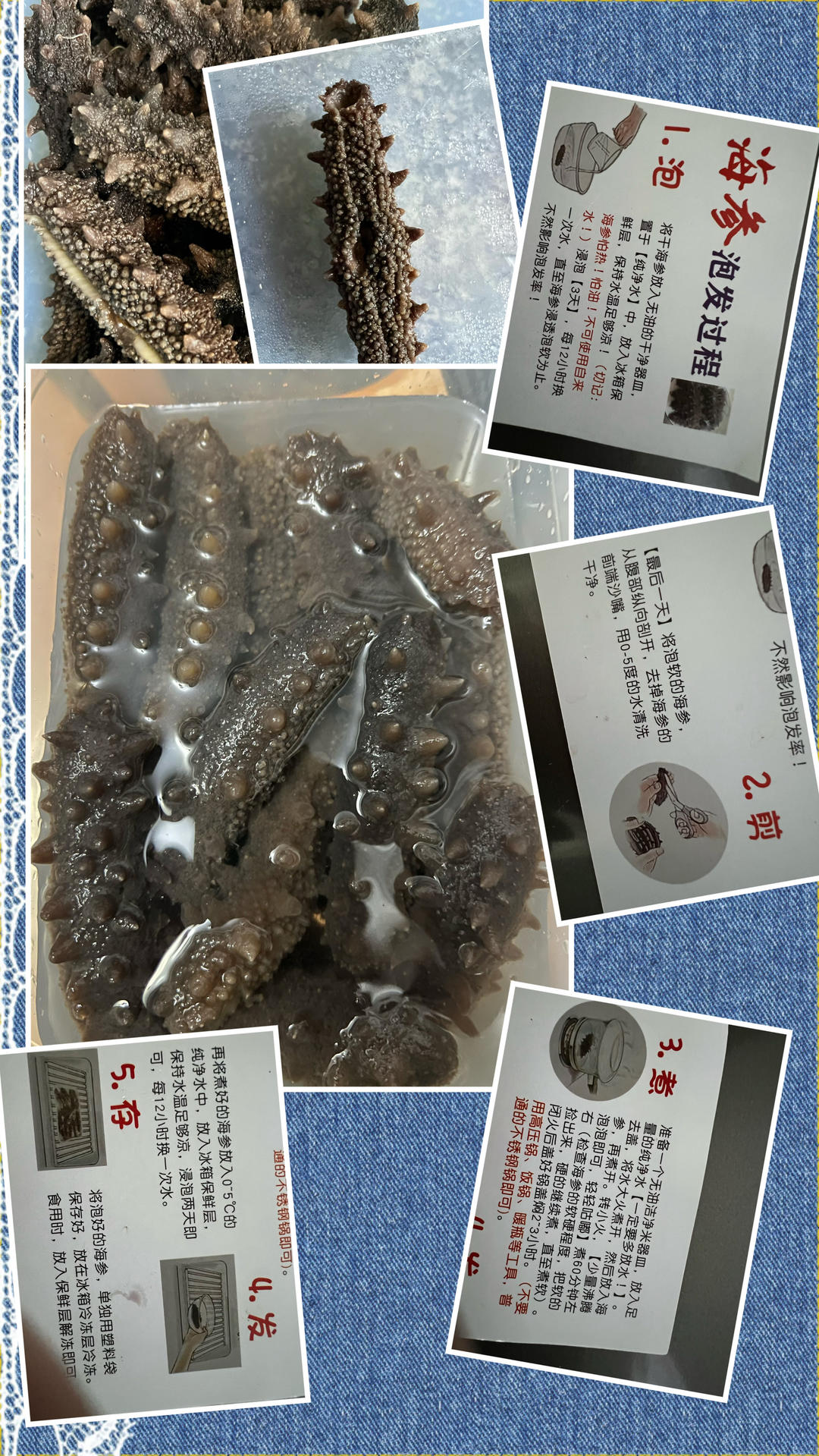 海参泡发攻略