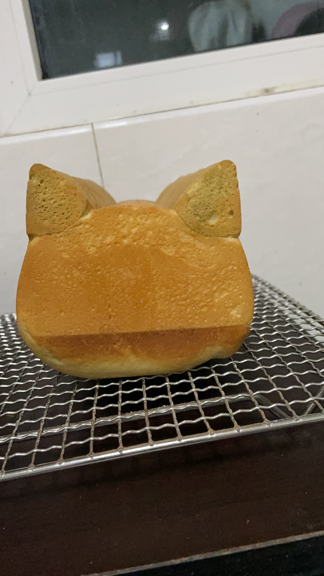 网红 猫咪猫头吐司面包
