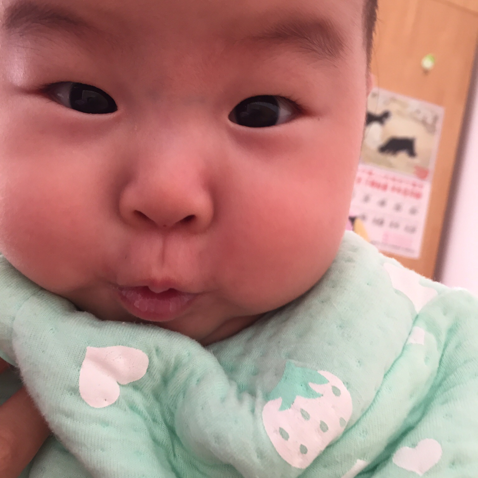 cocosea
