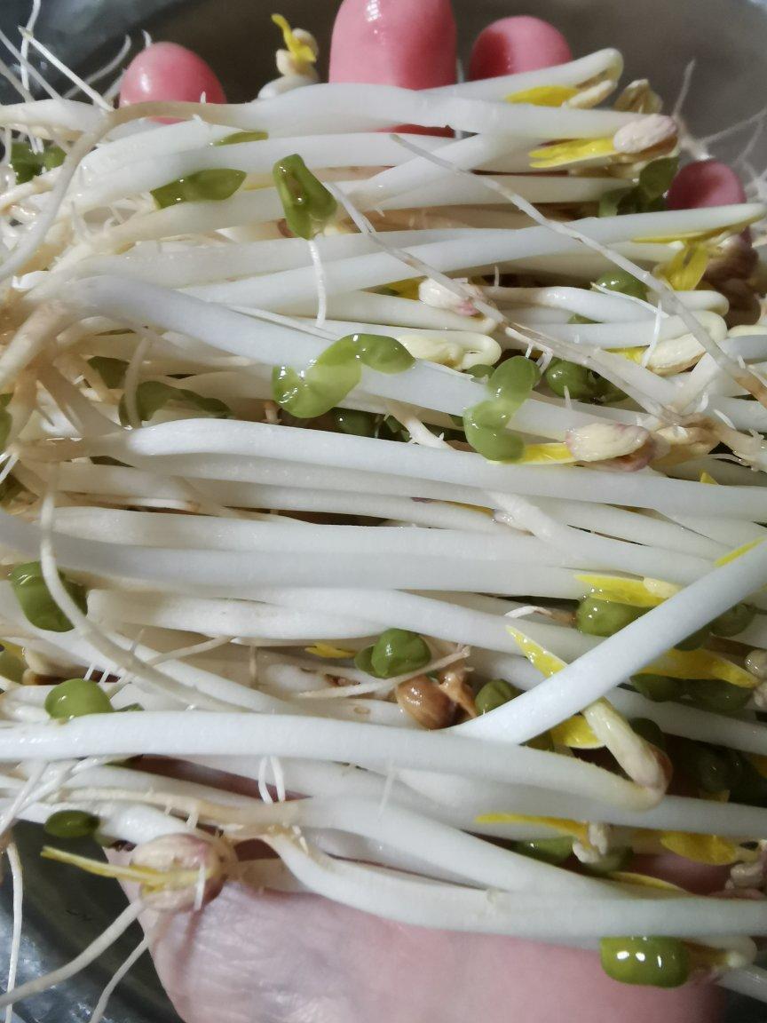 跟“我跟家常”学泡豆芽