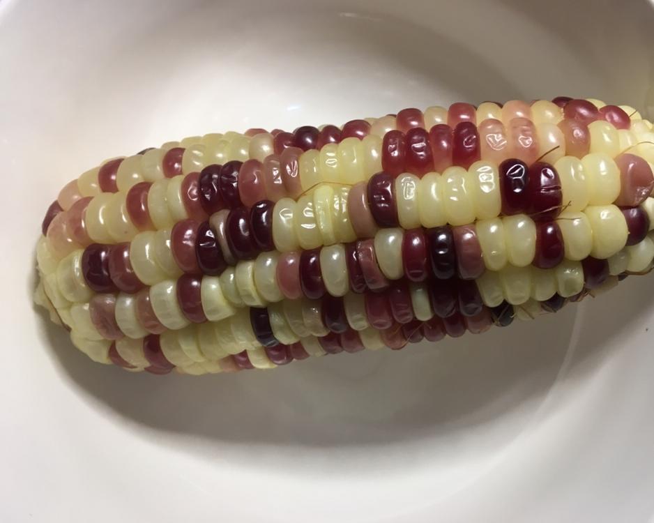 水煮玉米