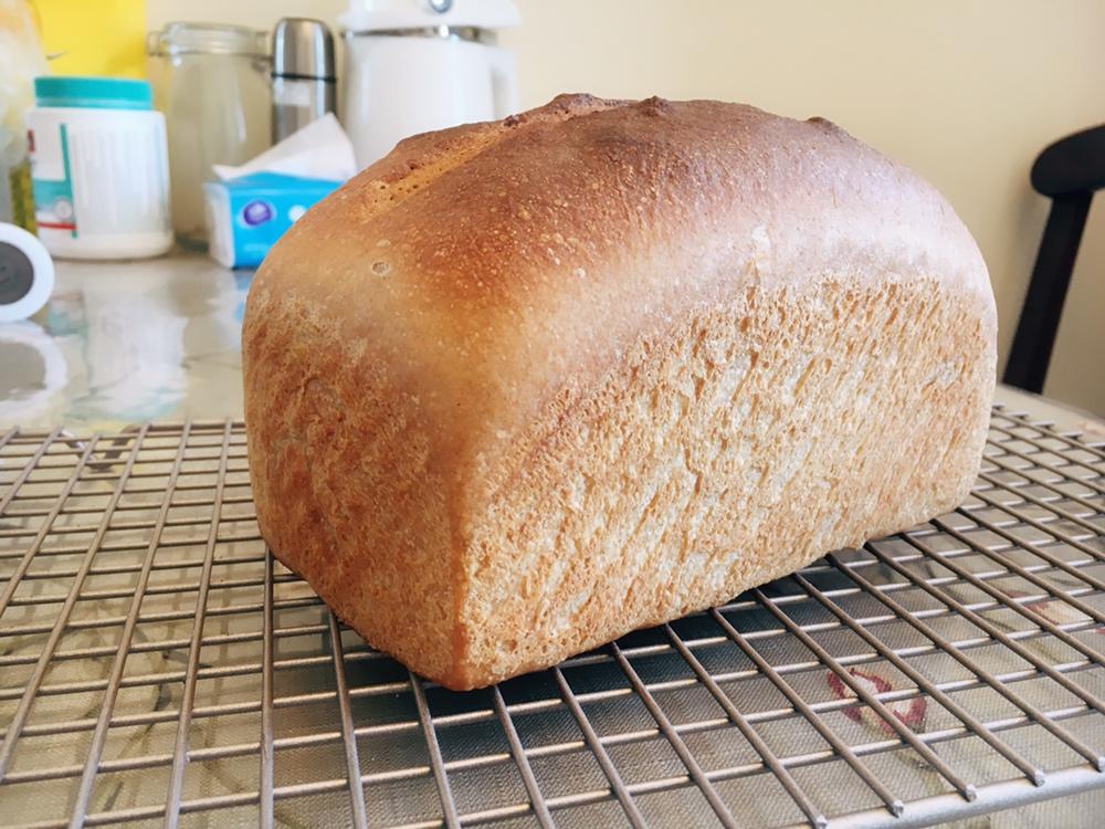 上班族和健身党的全麦餐包&吐司