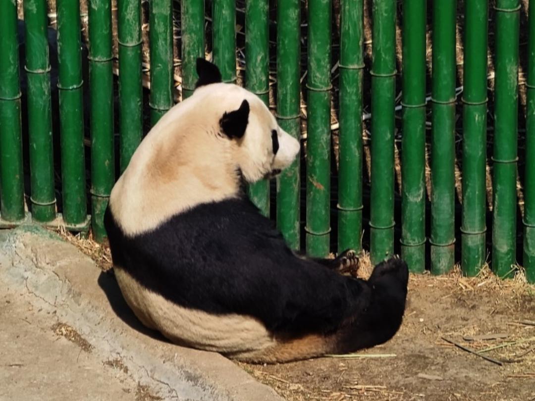 哒哒哒子哒哒