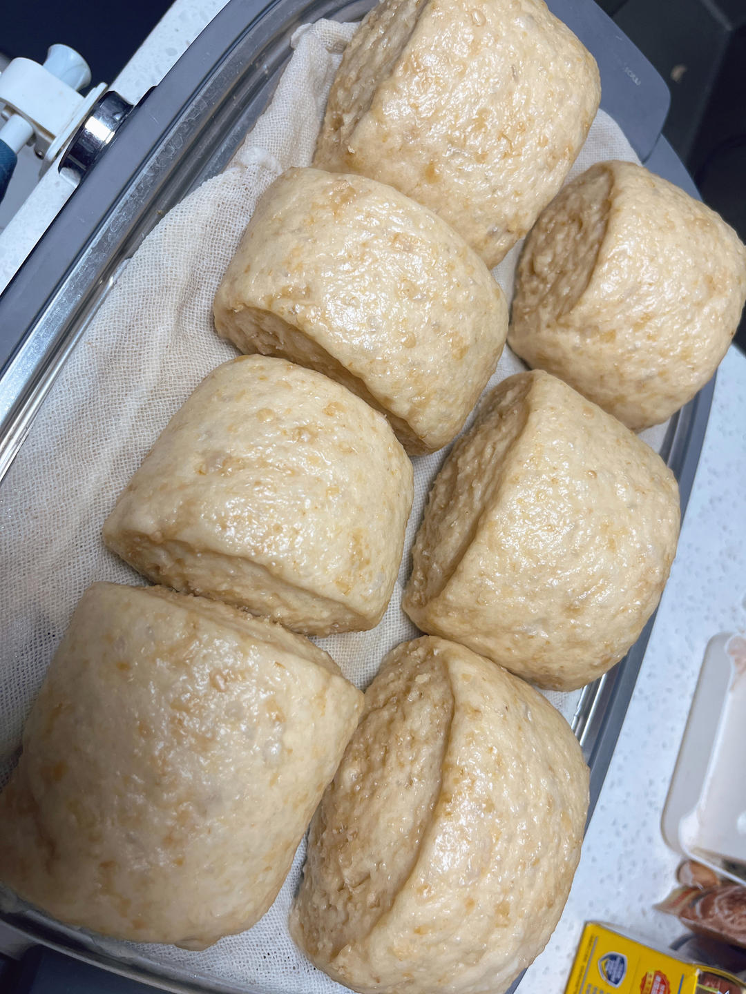 牛奶燕麦馒头【曼食慢语】