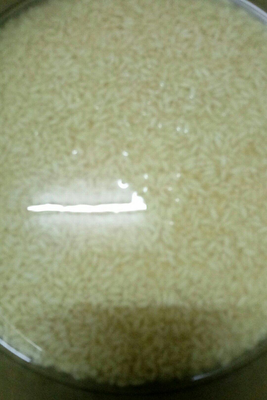 碱水水晶粽、凉粽（好吃得不得了的水晶粽，没有之一）特产粽子，碱水粽