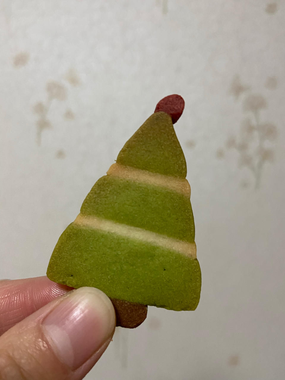 🎄圣诞月🎄超可爱小饼干｜系列一👏保姆级过程分享