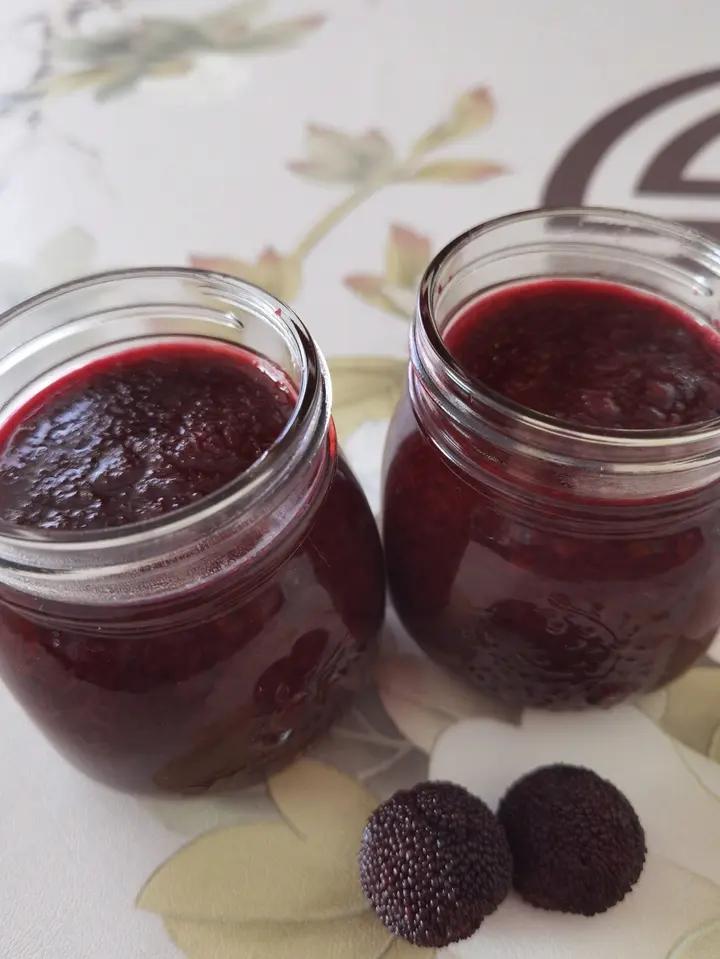 🍃自制杨梅酱｜酸甜可口｜味道惊艳｜做法简单｜百搭美味｜可用于甜品饮品