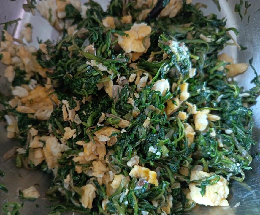 春天的🥟——蒲公英鸡蛋饺子