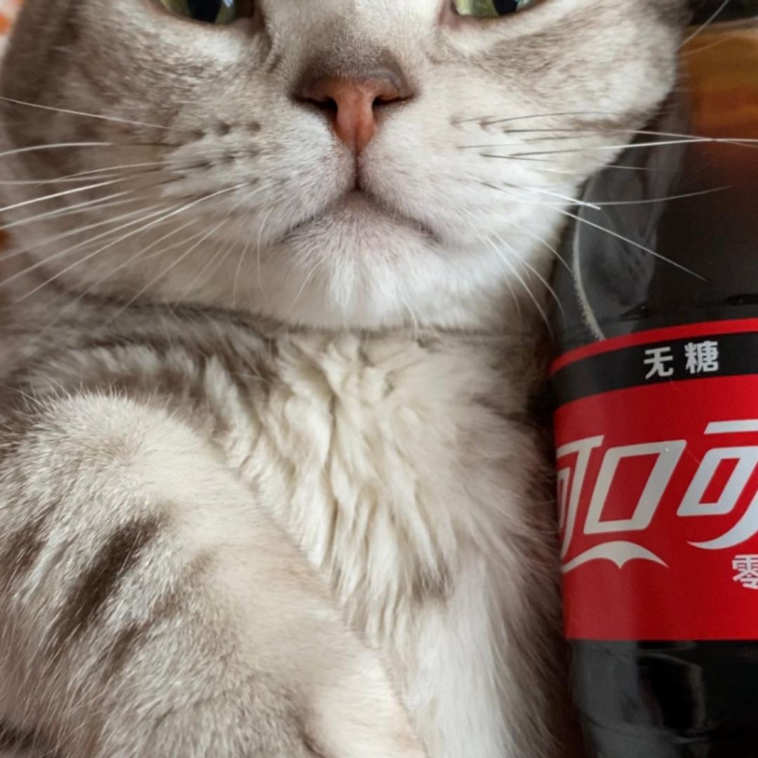 半夏清河