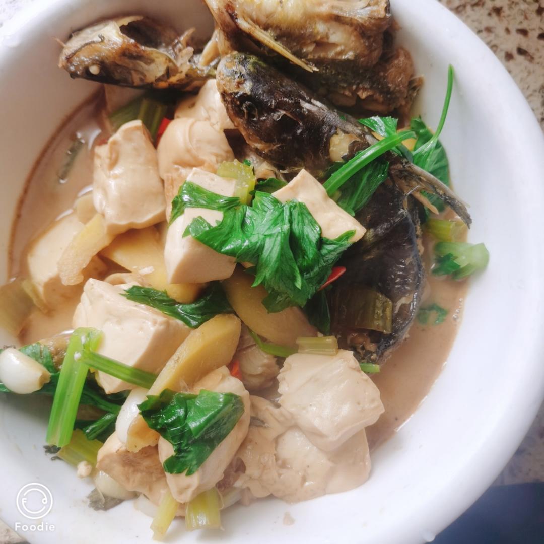 黄刺鱼烧豆腐