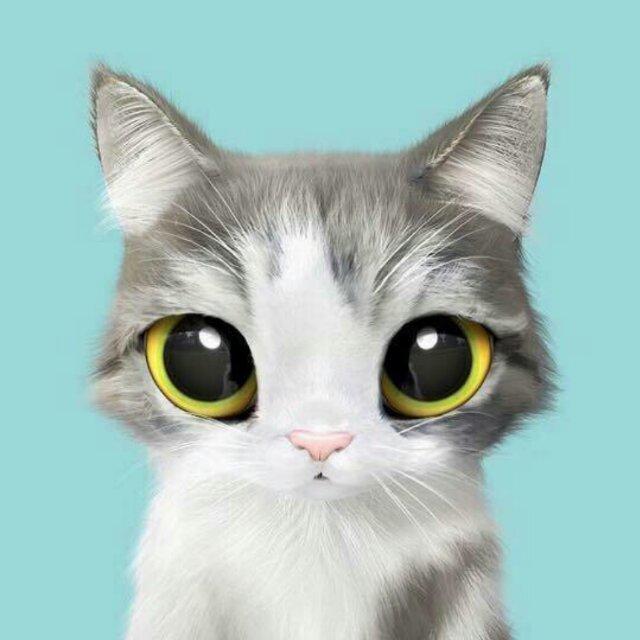 neko-