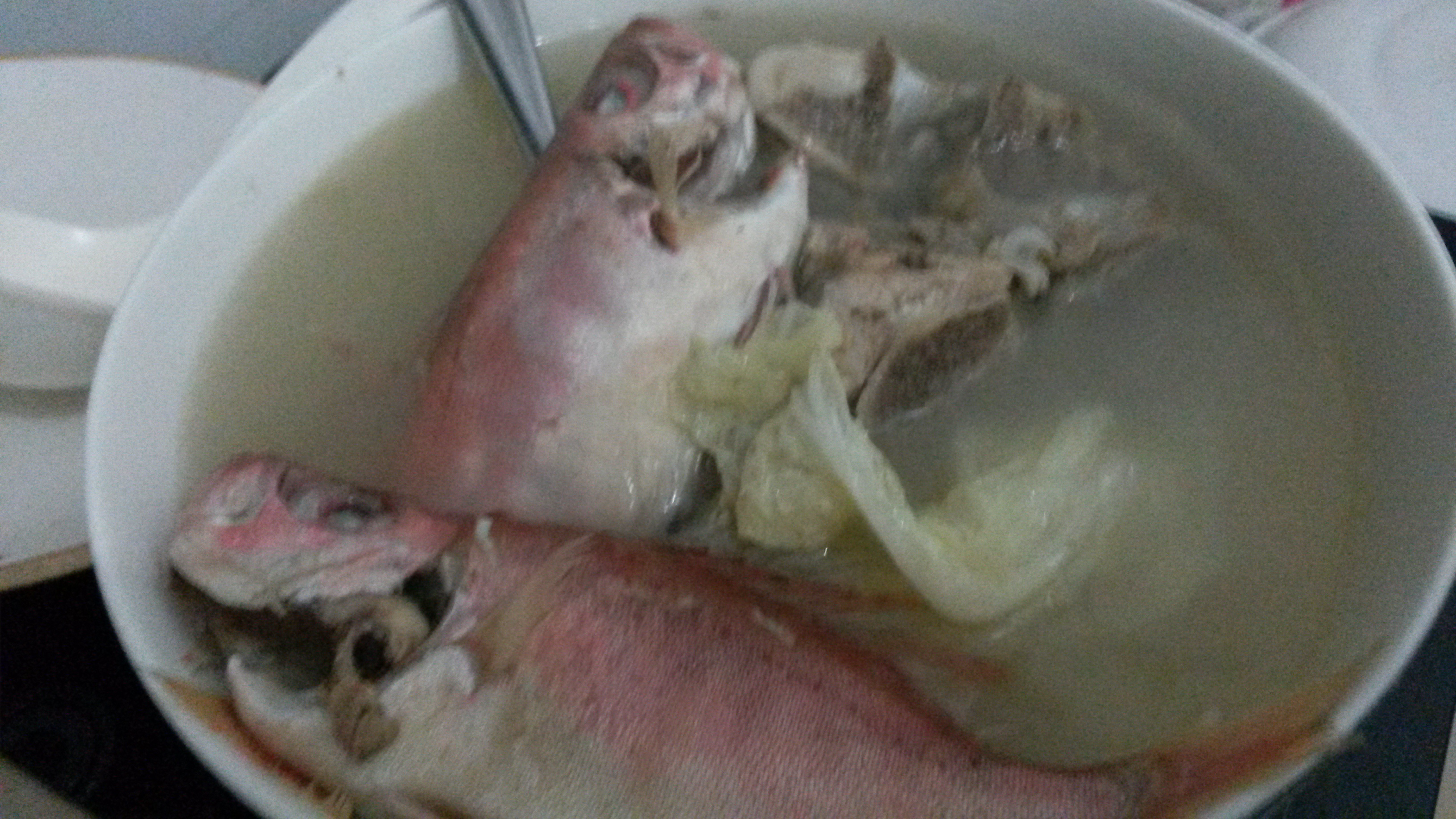 蕃茄薯仔大眼鸡鱼汤