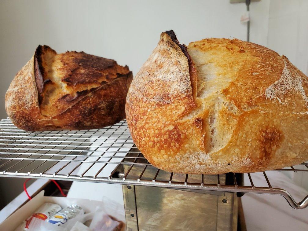【硬欧笔记】GirlMeetsBread「Sourdough Notebook」