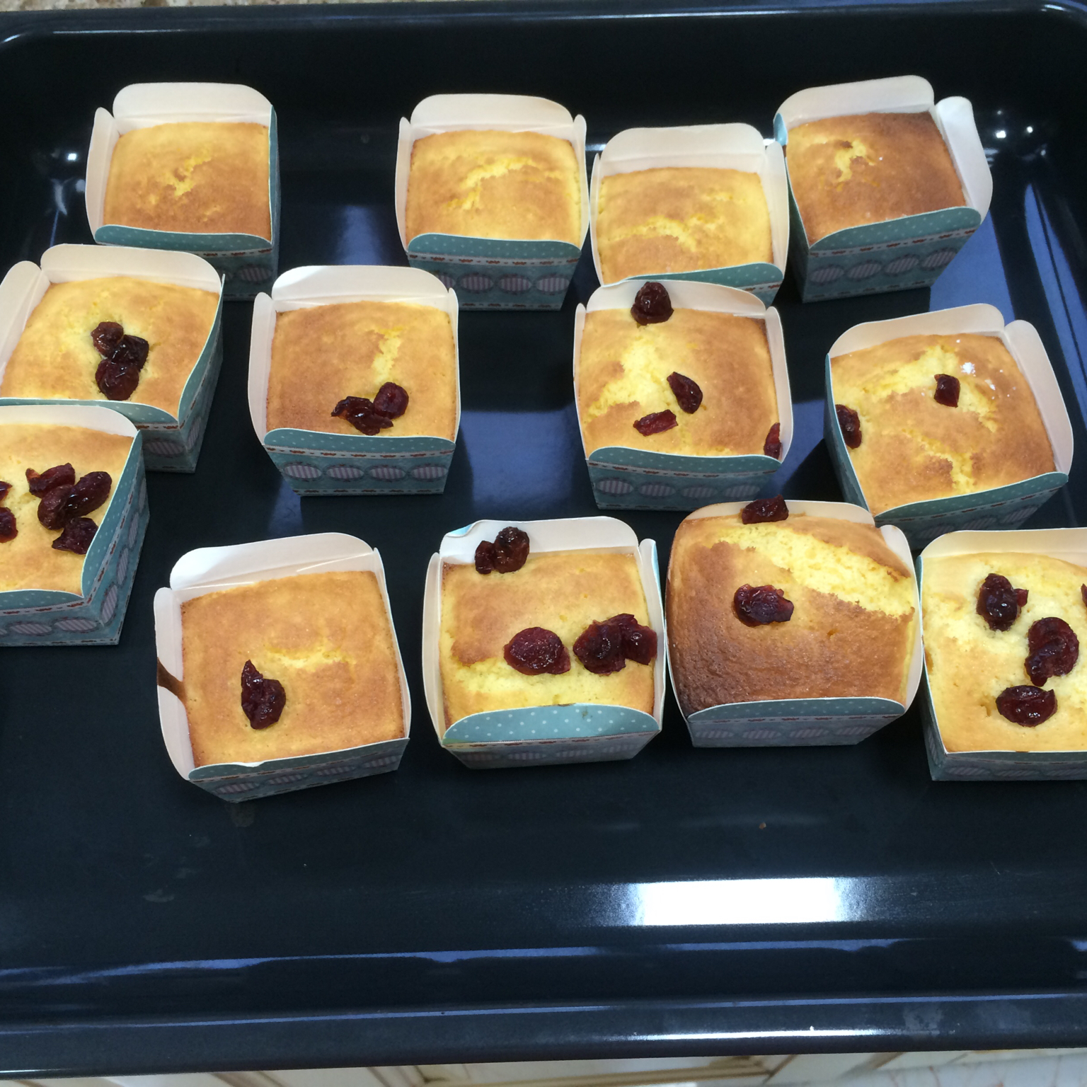 不会回缩的纸杯蛋糕--海氏烤箱定制