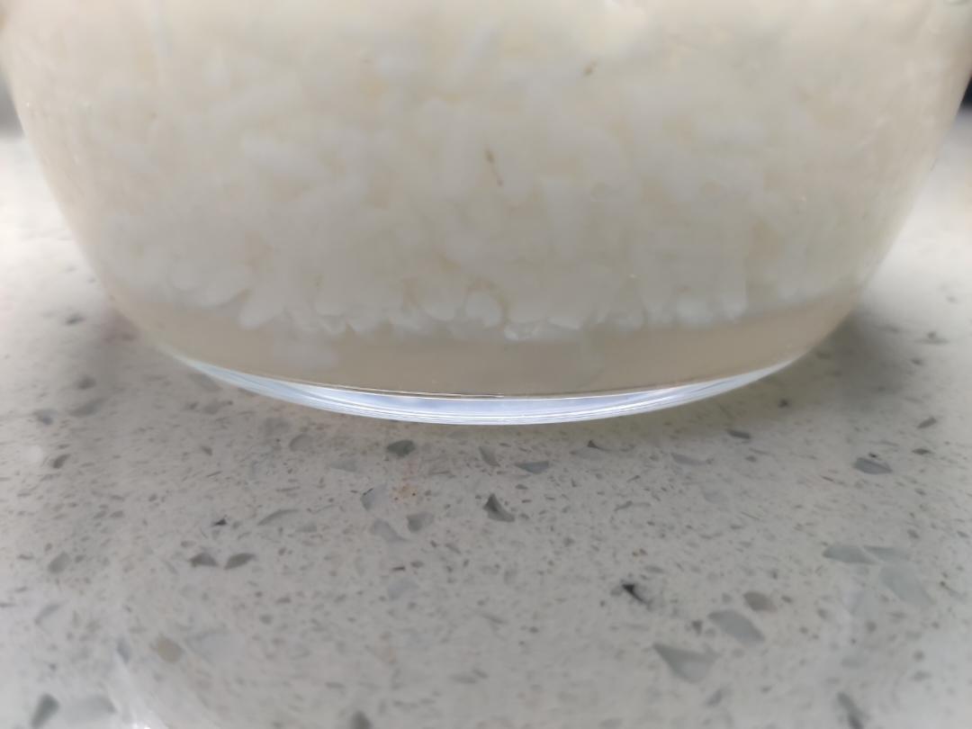 自制甜酒酿（快速法）