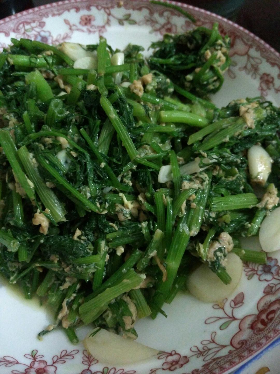 【健康三餐】炒茴香