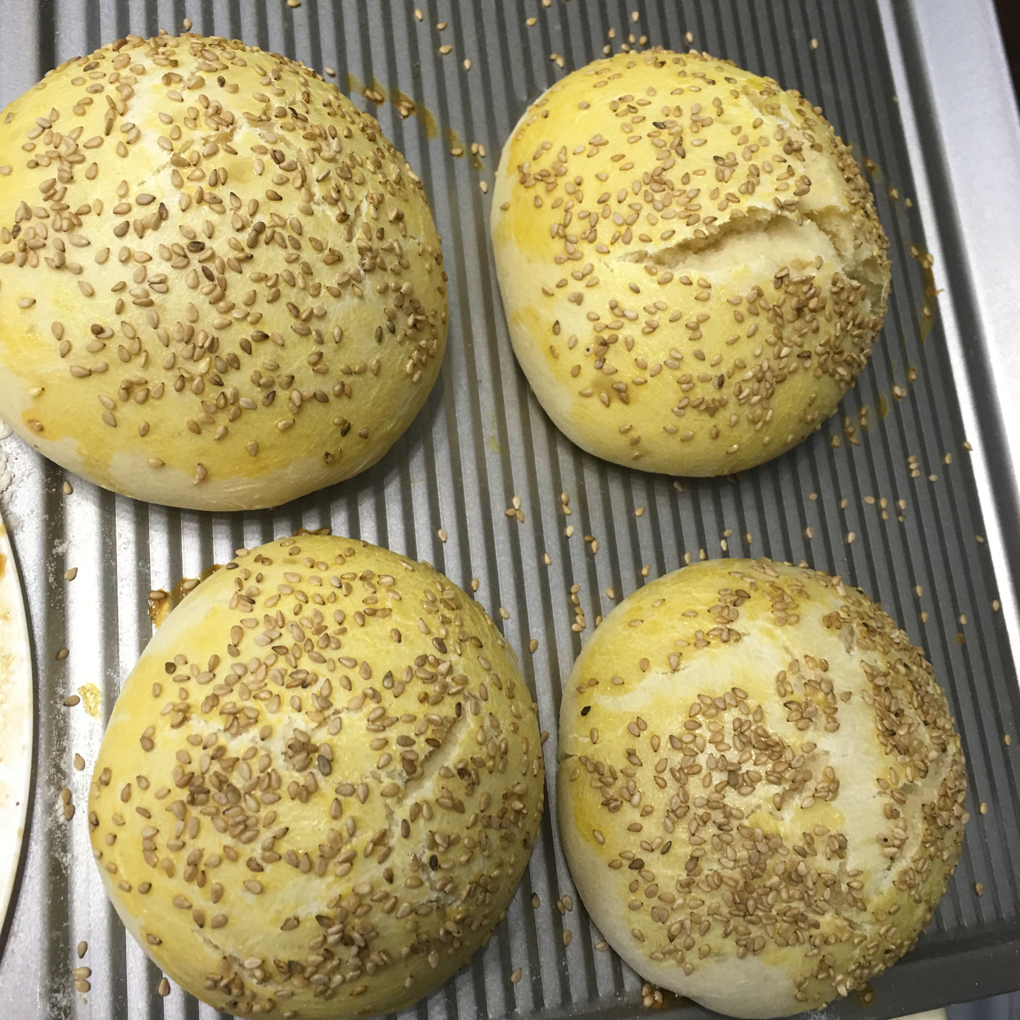 自制营养肉饼汉堡包