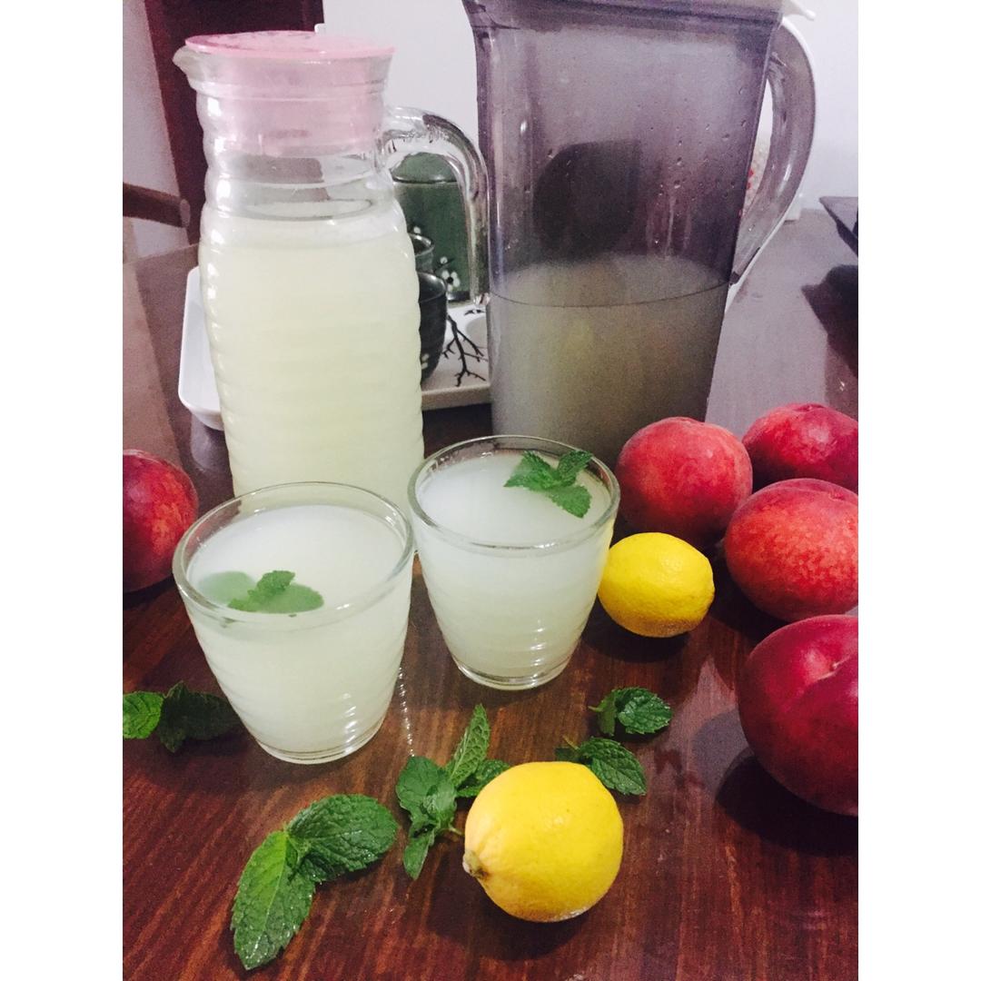 夏日清爽柠檬饮 Lemon Squash