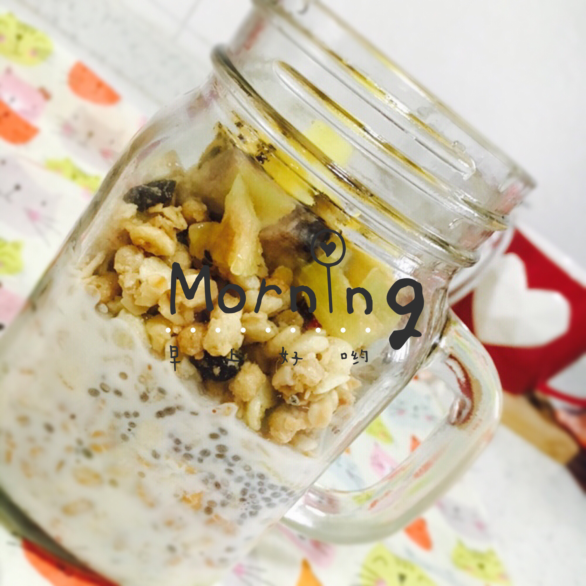 Overnight Oatmeal 隔夜早餐燕麦杯