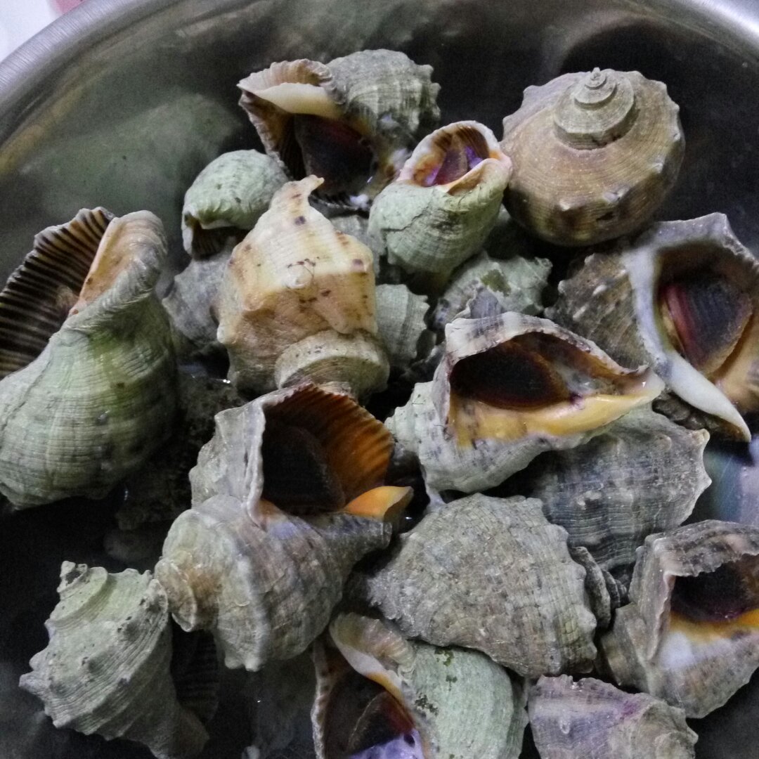 水煮海螺
