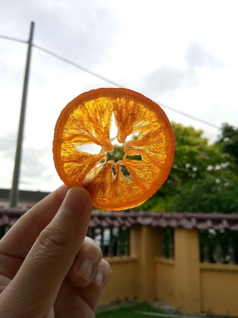 獅子女的日常