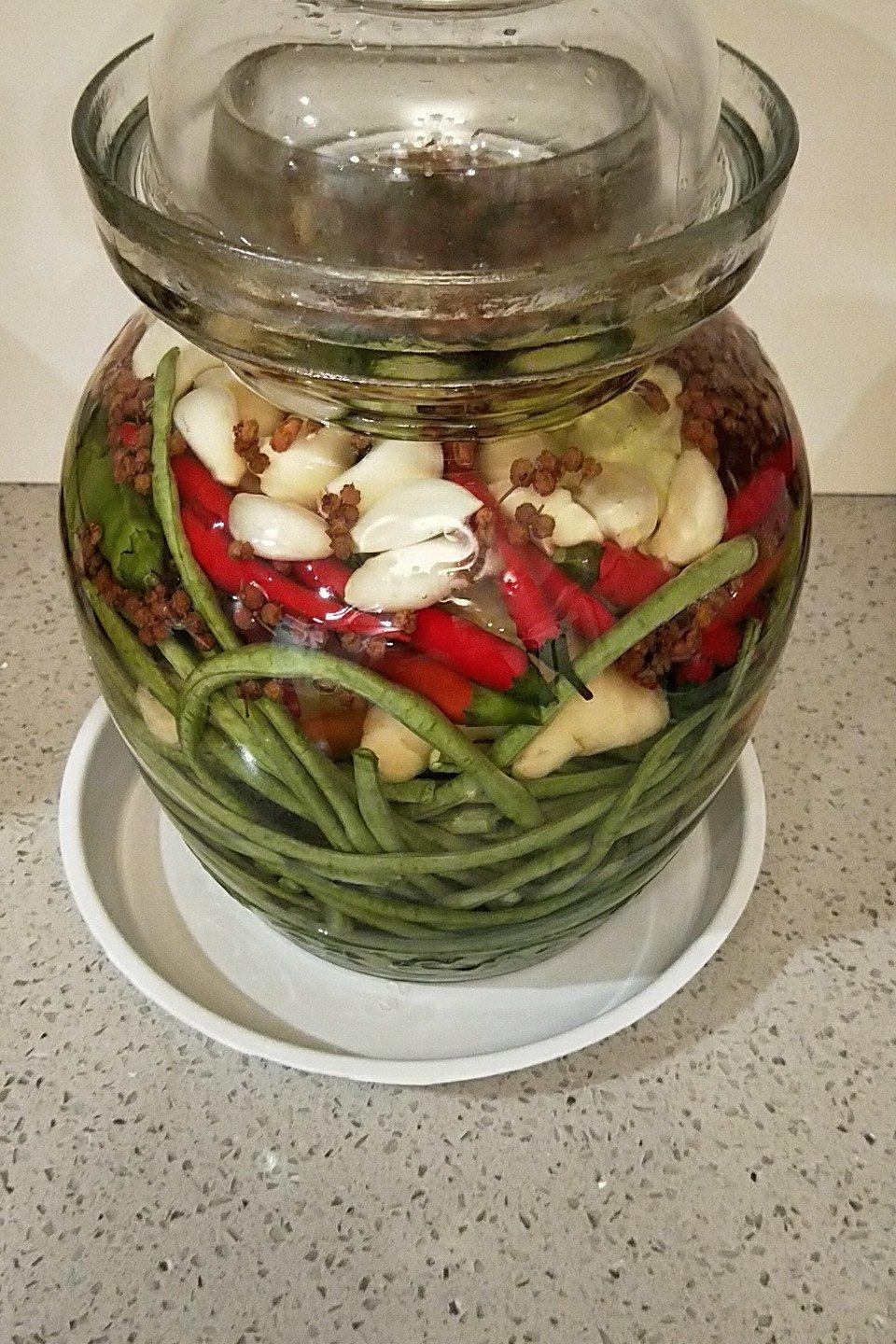 不易坏的四川泡菜（生水版）