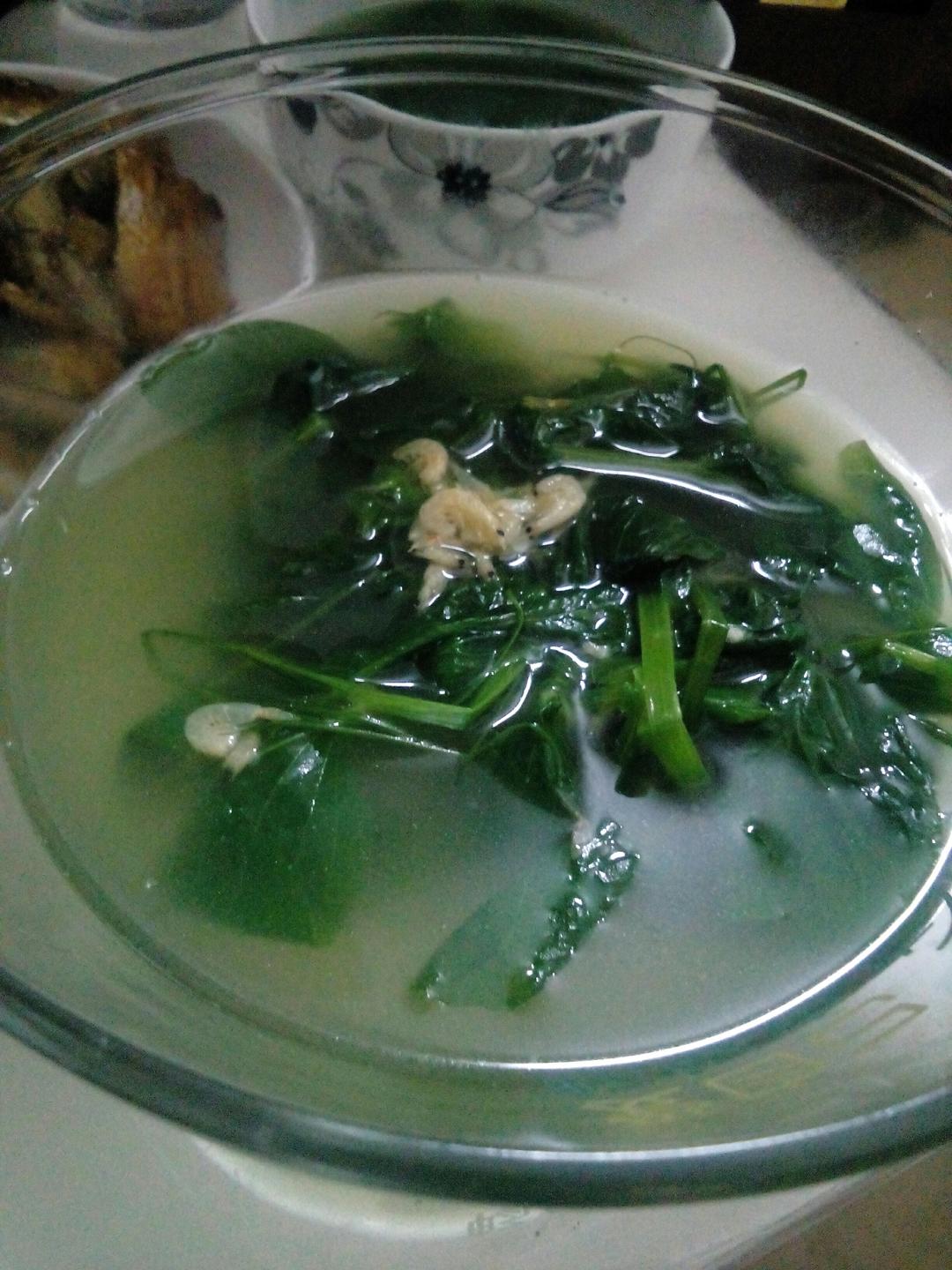 豌豆苗虾皮汤