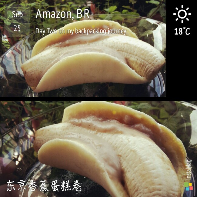 DIY Tokyo banana东京香蕉蛋糕