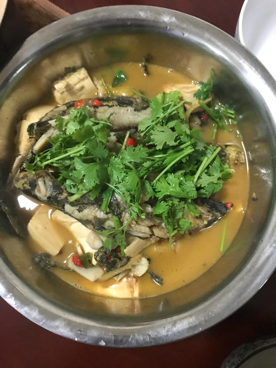 黄刺鱼烧豆腐