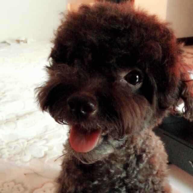 老吕家的小厨子