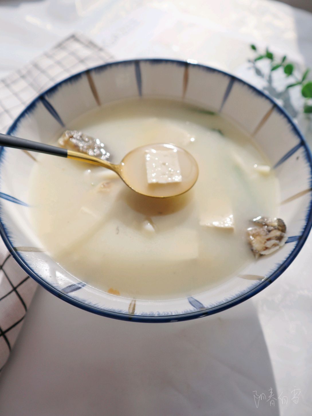 增强免疫力❗️黄骨鱼豆腐汤❤️味鲜补钙营养又好喝的做法
