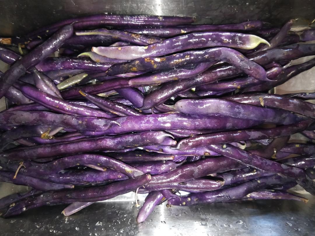 豆角保存方法