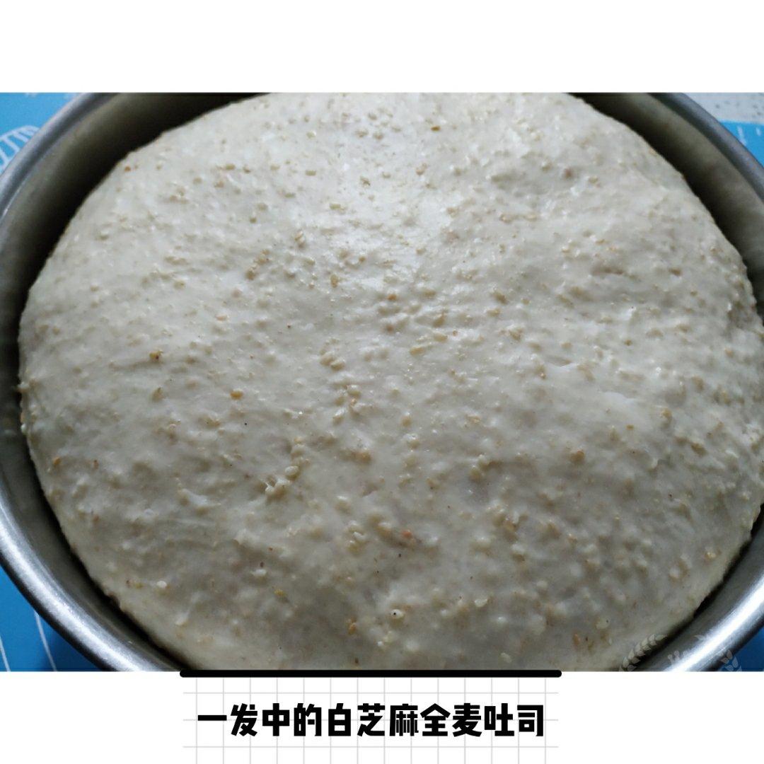 生活小点滴