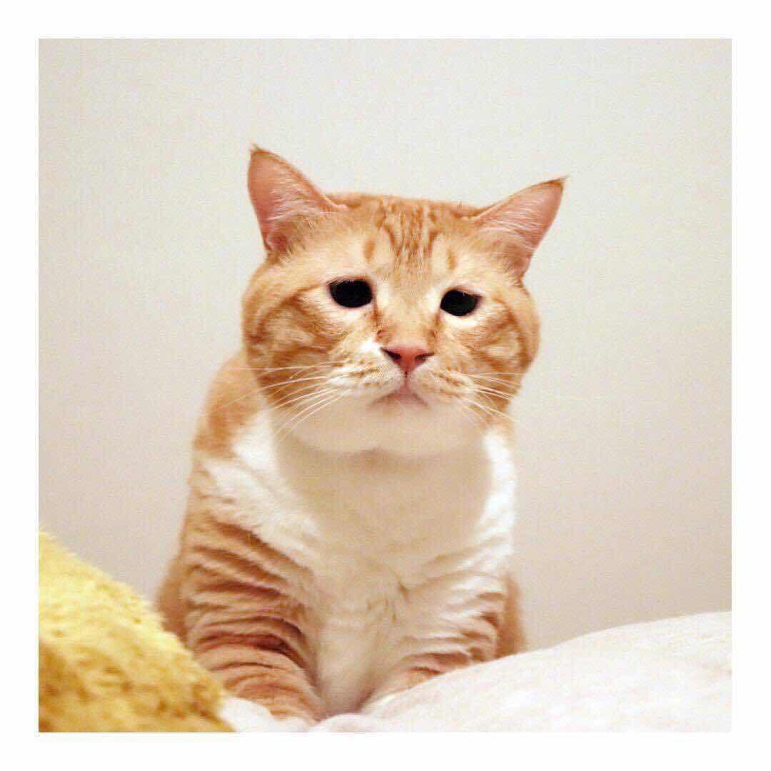 nananzee