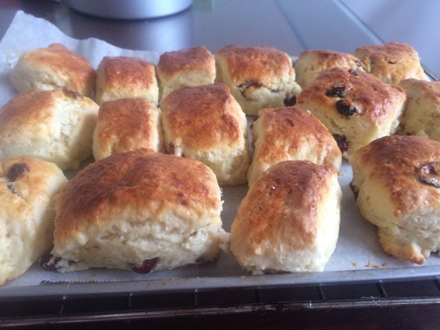 英式葡萄司康Scone