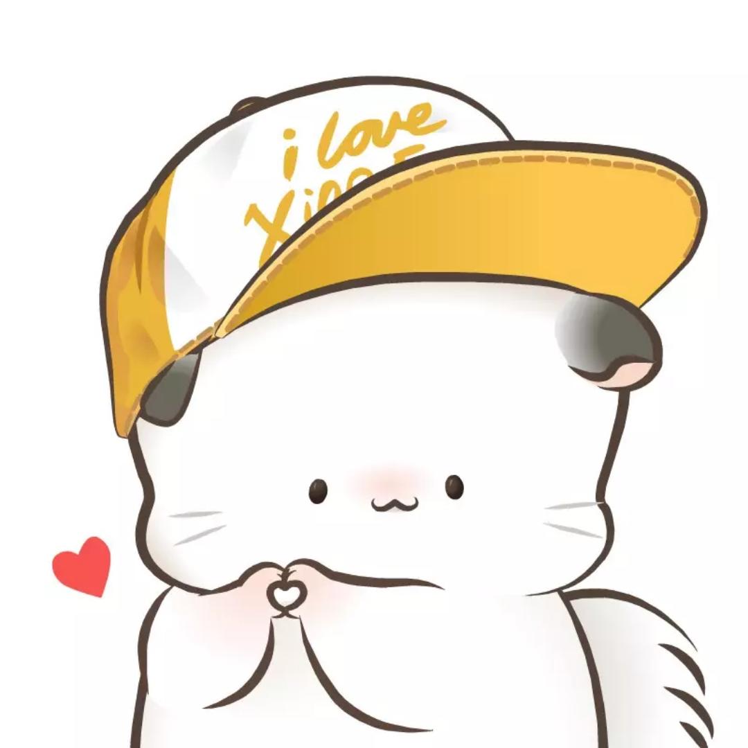 拿本本的小四毛