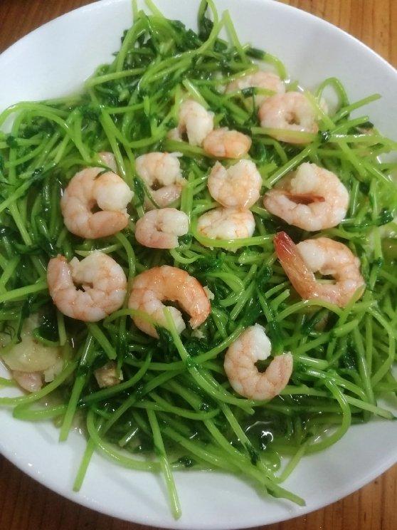清炒豆苗