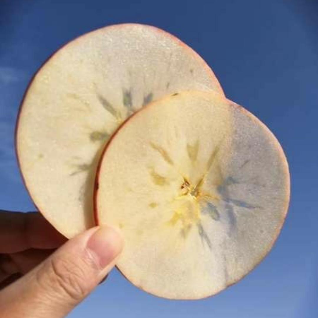 王二妮妮吃不胖